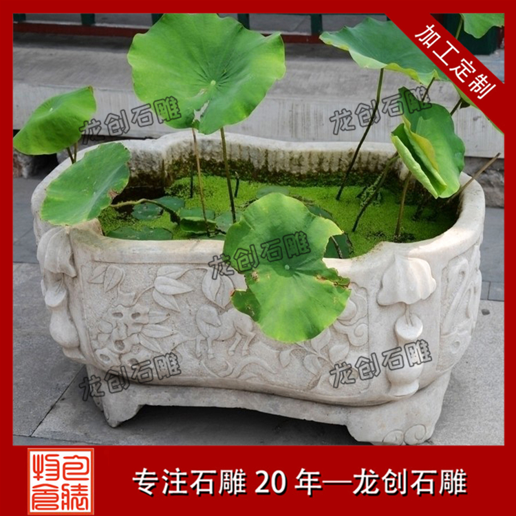 åæç³è±çæ&nbsp;·å¼åå¾ç